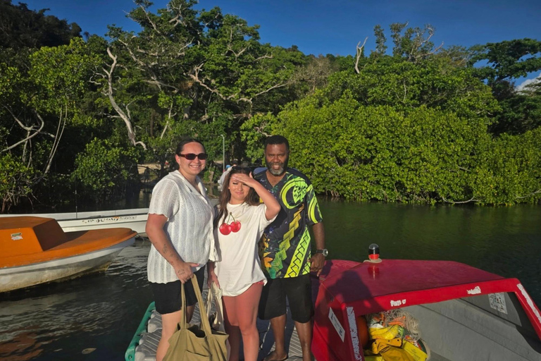 Vanuatu: Pele Island Day Trip with BBQ Lunch & Snorkeling