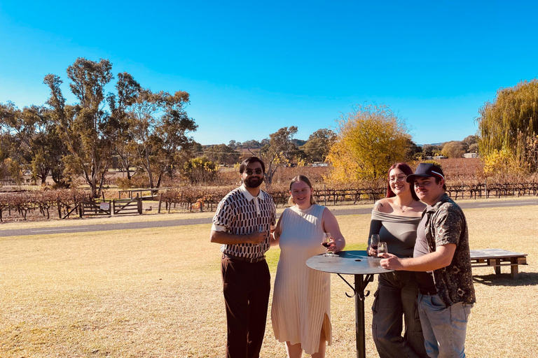 The Ultimate McLaren Vale Experience: Wine, Views & Luxury