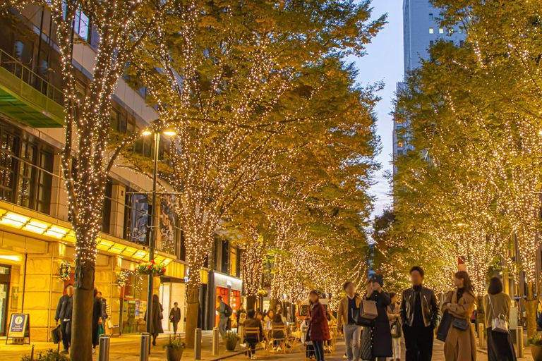 Tokyo: Open-Top Bus Tour with Christmas Illuminations X'mas Tokyo Winter Illuminations (End at Marunouchi)