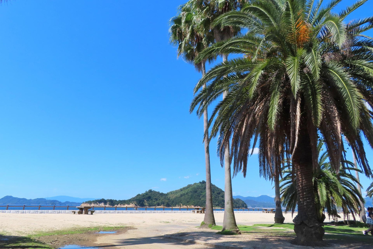 1-Day Tour in Hiroshima: Rabbit Island and Takehara Town