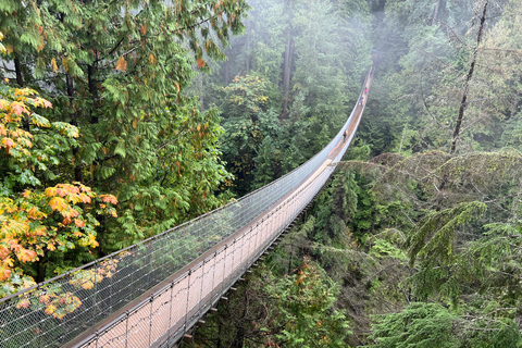 Capilano Suspe Bridge & Grouse Mountain Limited Small Group