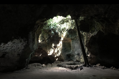 Traditional dhow ride to Kisite Marine Park & Wasini & dolphin watching