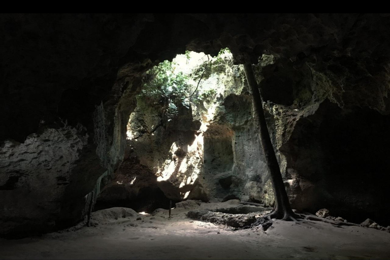 Traditional dhow ride to Kisite Marine Park & Wasini & dolphin watching