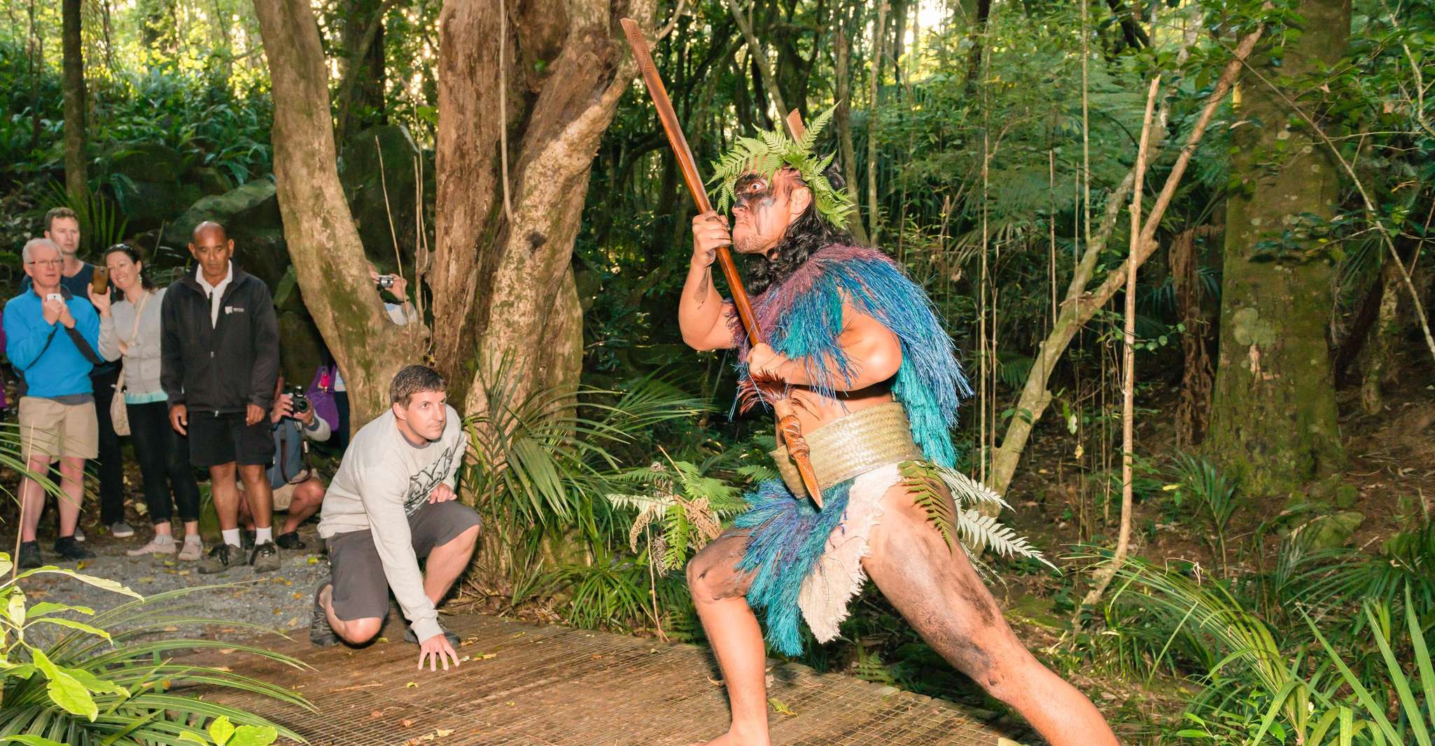 Waitangi, Pase combinado de Traty Ground and Concert Combo - Housity
