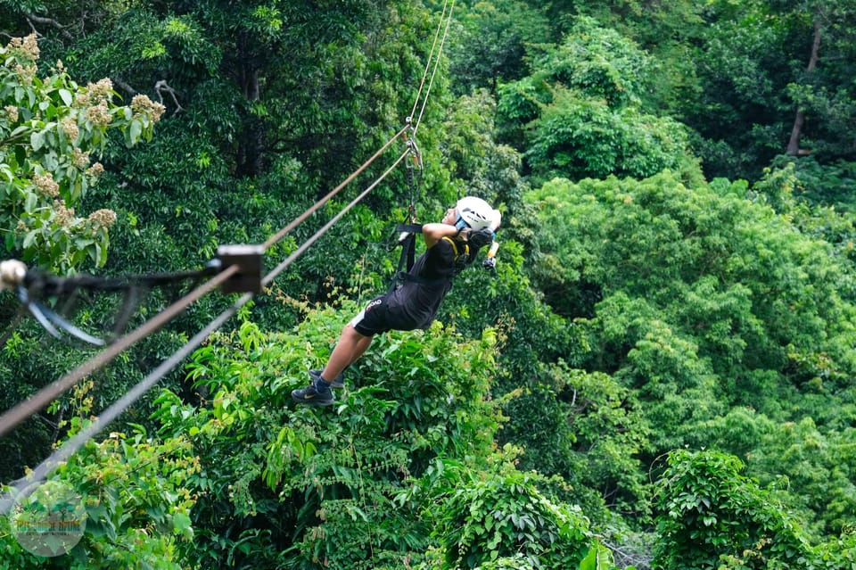 From Koh Samui: Tree Bridge Zipline And Café Experience 