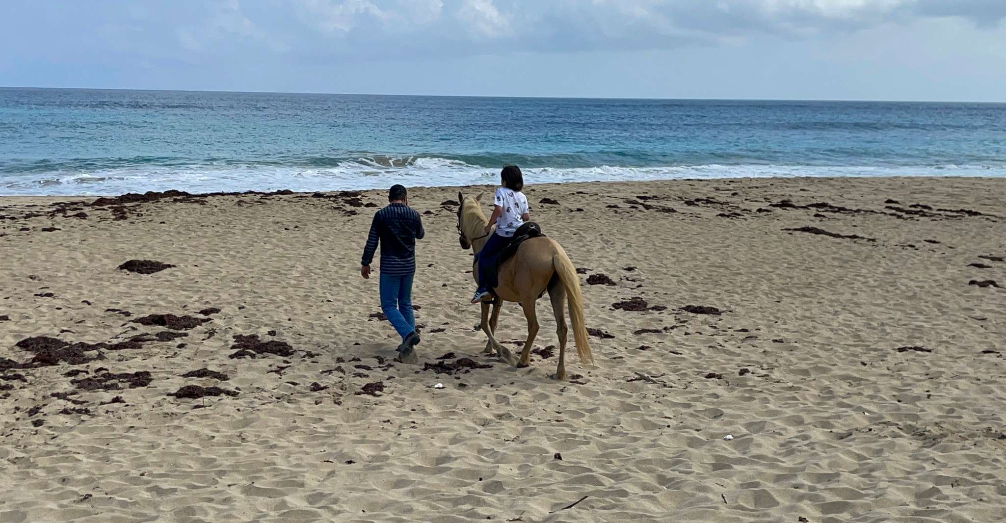 Randonnées à cheval sur la plage d'Aguadilla - Hizvo
