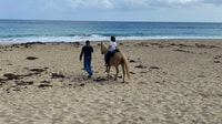 Reiten am Strand in Aguadilla - Hizvo