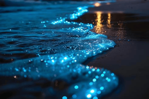 Coucher de soleil sur les îles Hong, plancton bioluminescent et dîner barbecue