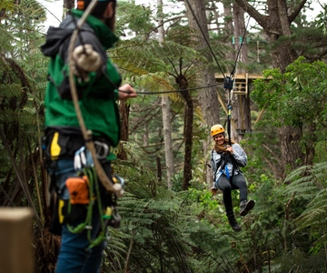 Coromandel: Zipline Tour Experience met gids