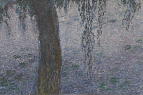 Paris: Orangerie Museum Reserved Entry Ticket & Audio Tour