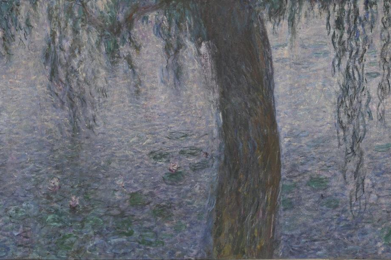 Paris: Orangerie Museum Reserved Entry Ticket & Audio Tour