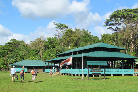 From Puerto Jimenez: Safari to Carate wildlife observation Safari to Carate from Puerto Jimenez with local tour guide.