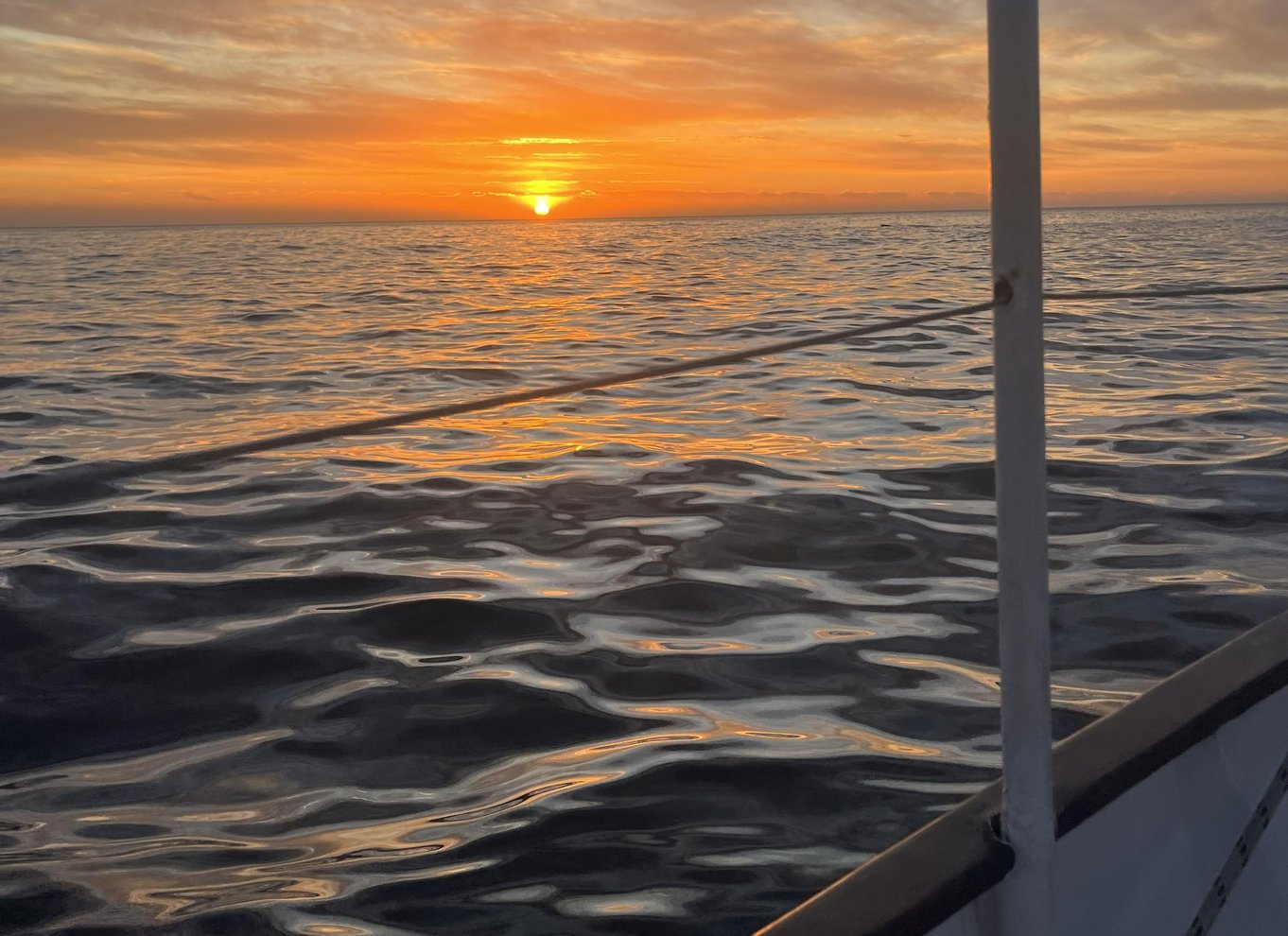 Cape Town: Solnedgangskrydstogt fra V&A Waterfront med bobler