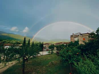 Camerota: Degustazione guidata vino