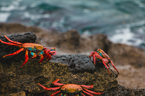 4-Day Galapagos Essential Budget Tour