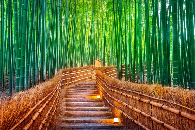 Tokyo: Kamakura Full Day Private Customizable Tour