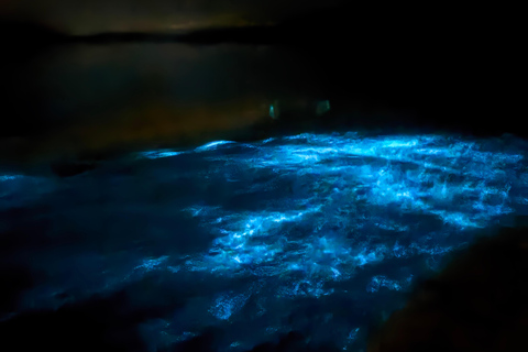 Transparent Canoe in Bioluminescent Bay in Vieques Transparent Canoe in the Bioluminescent Bay in Vieques