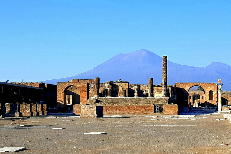 Naples: Pompeii & Herculaneum Shared Regular Group Tour