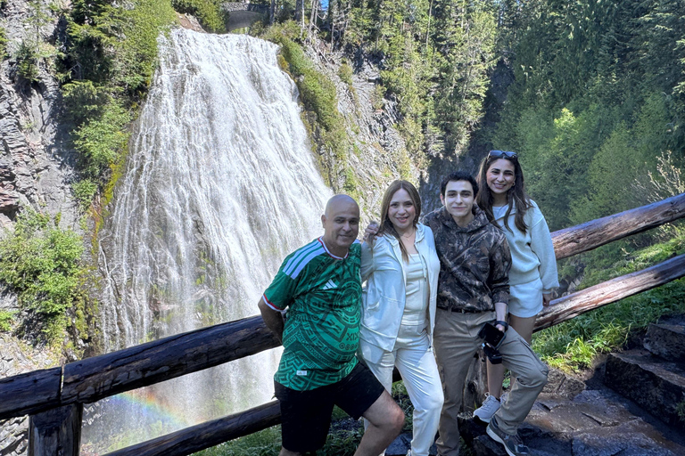 Mount Rainier National Park Small-Group DayTour from Seattle