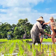 Lombok: Tetebatu, Monkey Forest, Waterfall & Weaving Village