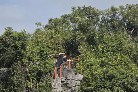 Half day Hiking Cat Ba National Park With guide