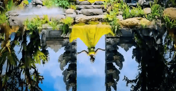 Ubud: Hidden Instagrammable Spots Day Tour