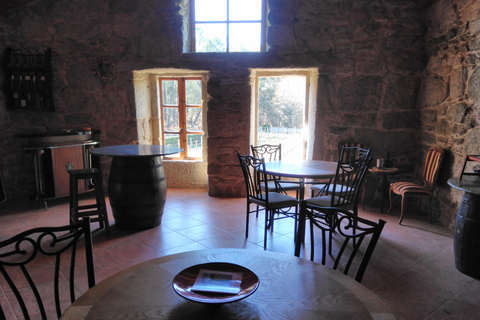 Galicia: Bodega Corisca Winery Tour and Wine Tasting