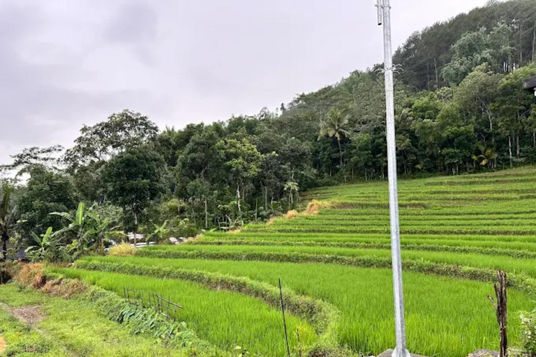 Avventura al Tempio di Selogriyo: trekking tra risaie e rafting sul fiume EloAvventura al tempio di Selogriyo: trekking nella risaia e rafting sul fiume Elo