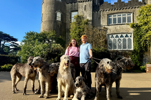 Dublin: Malahide Castle Hunt Dinner with Drinks Dublin: Malahide Castle Hunt Vegetarian Dinner with Drinks