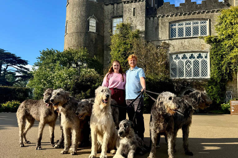 Dublin: Malahide Castle Hunt Dinner with Drinks Dublin: Malahide Castle Hunt Vegetarian Dinner with Drinks
