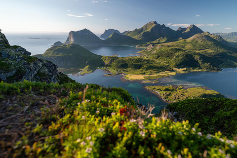 Svolvær: wycieczka z przewodnikiem i przekąskamiSvolvær: Wycieczka z przewodnikiem i przekąskami