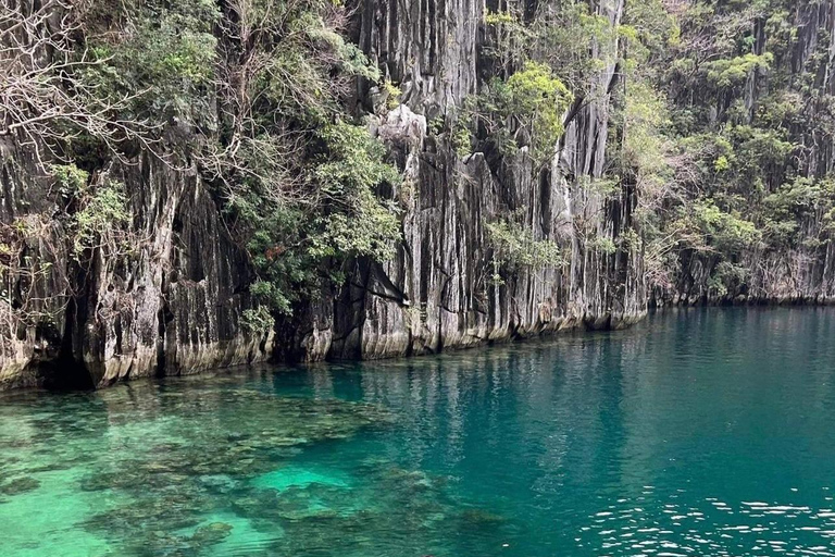Coron: Private Island Tour A or B with Lunch & Pickup 1-Day Island Hopping: Coron Tour A Only