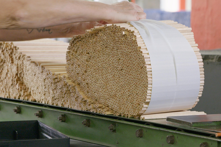 Visita pública guiada: Produção de "lápis de madeira".Visita pública guiada (alemão): Produção "Canetas de madeira"