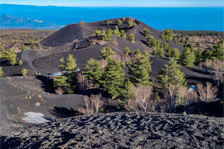 Excursión al Etna desde CataniaEtna por la mañana desde Catania