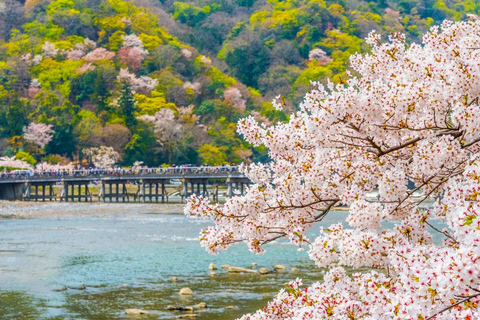 A Thousand Years in One Day: Kyoto & Nara Panoramic Tour Osaka Station