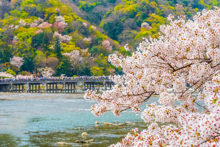 A Thousand Years in One Day: Kyoto & Nara Panoramic Tour Osaka Station