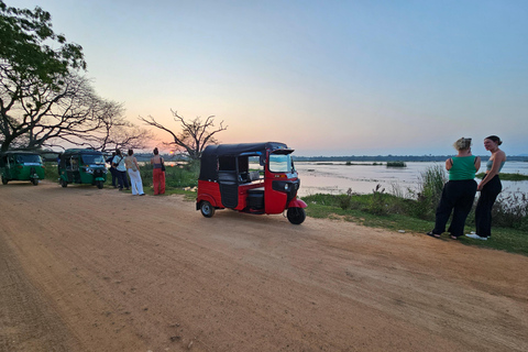 Tissamaharama: Temple Tour by Tuk-Tuk with Guide