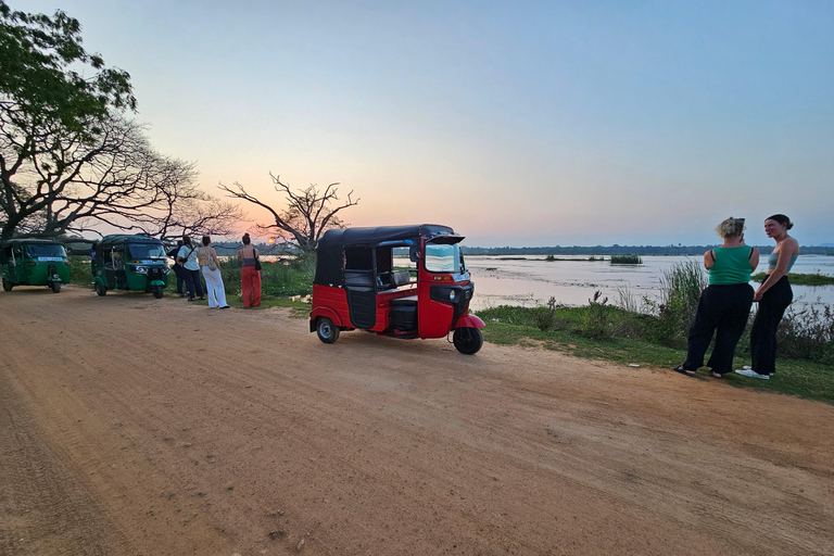 Tissamaharama: Temple Tour by Tuk-Tuk with Guide