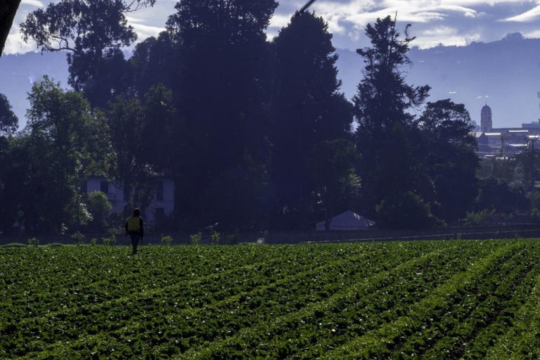 Bogotá & Andes: Trekking Chía, Tenjo, & Indigenous Heritage