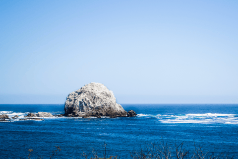 ISLA NEGRA AND ALGARROBO WITH VINICOLA UNDURRAGA - TOUR : CHILE