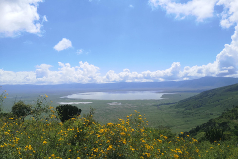 5Dagar, Tanzania safariStadsrundtur i Arusha.