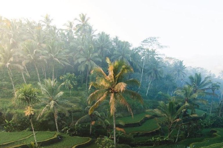 Ubud: Private Tour with Gunung Kawi Temple & Waterfall With Entry Tickets