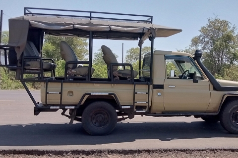 Game drive en neushoornwandeling in Livingstone Zambia