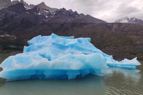 Torres Del Paine: Bootsfahrt zum Grey-Gletscher + Ganztägiger Ausflug zu den Torres del Paine