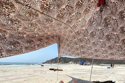 Huatulco: Surf Lesson with surf instructor. All Levels