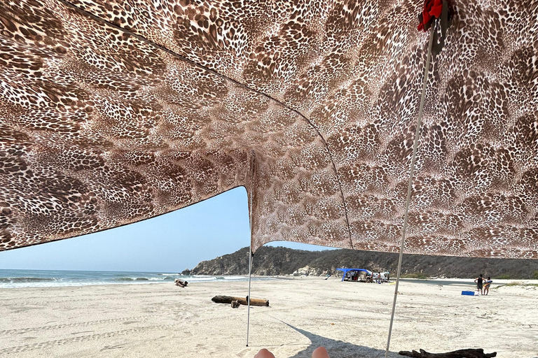 Huatulco: Surf Lesson with surf instructor. All Levels