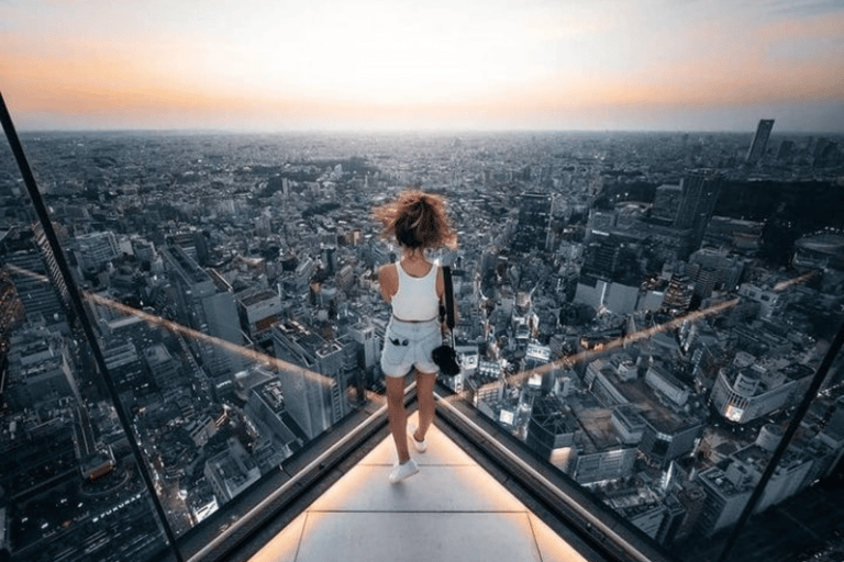 Tokyo City Highlight Private Tour Full Adjustable Itinerary