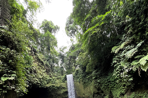 Bali Bathing Holy Spring Water or Purification