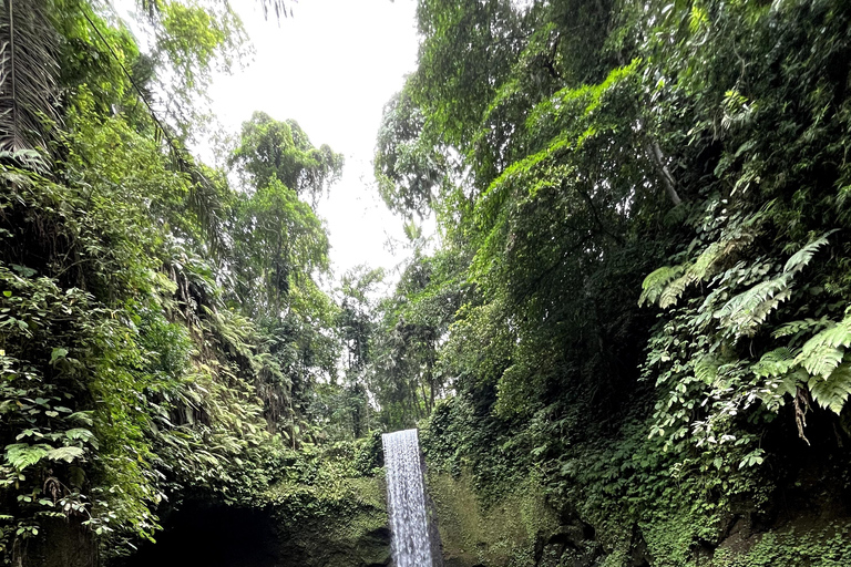 Bali Bathing Holy Spring Water or Purification