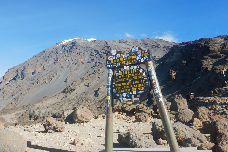 Mount Kilimanjaro: Umbwe Roure climbing
